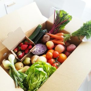 Køb grøntsagskasser online
